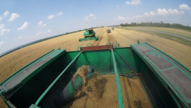 Экспортную пошлину на пшеницу из РФ поднимут до 3,3338 тысячи рубля